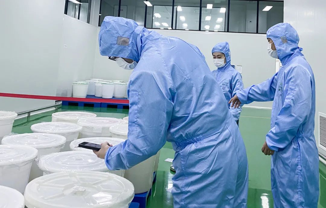 1651306194394552.jpg QES-10.jpg